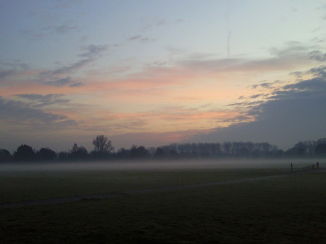 uitzicht op weilanden en bos