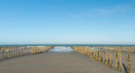 Les Bouchots luttent la mer