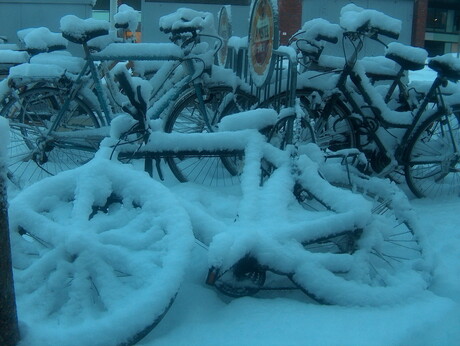 Waar is mijn fiets