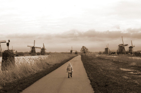 Sterre bij kinderdijk