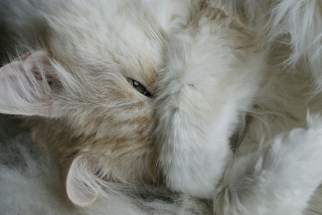 aaibaarheidsfaktor 10