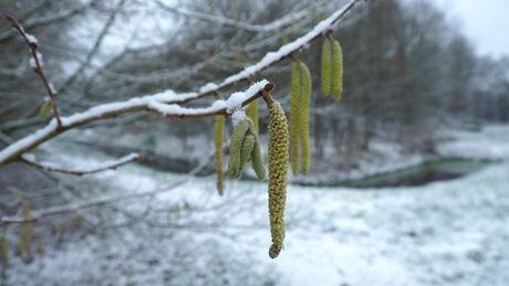 Winterprikkel-met-een-voorjaarstintje