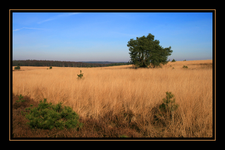 Roosendaalse Veld 2