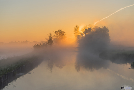 Beautiful Moments in the Polder