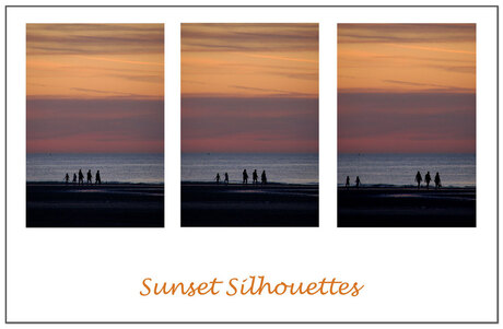 Sunset Silhouettes