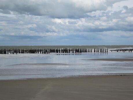 IMG_3504 (Large).JPG