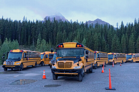 Schoolbusses