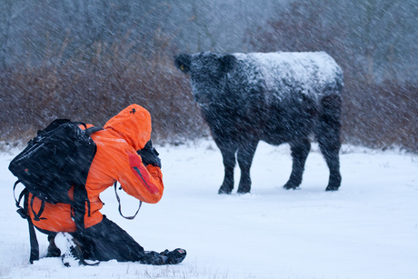 winter in Brabant