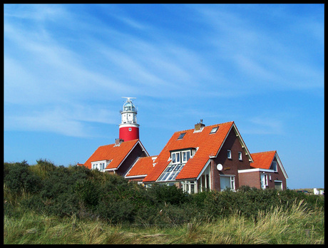 Texel