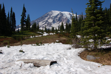 Mount Rainier
