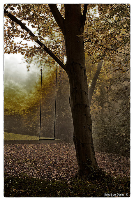 Schommel in de mist