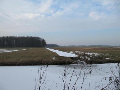 sneeuw landschap Heemskerk