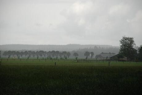 Regenachtige dag