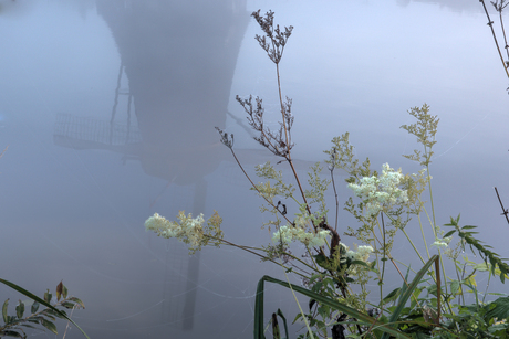 Kinderdijk 04