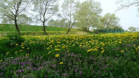 bloemen carpet