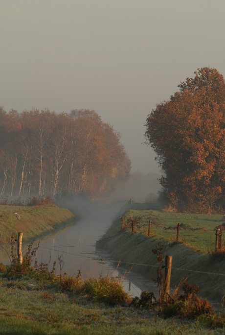 Herfst in Drenthe