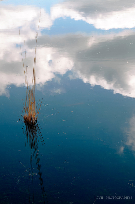 H2O CLOUDS AND CANE