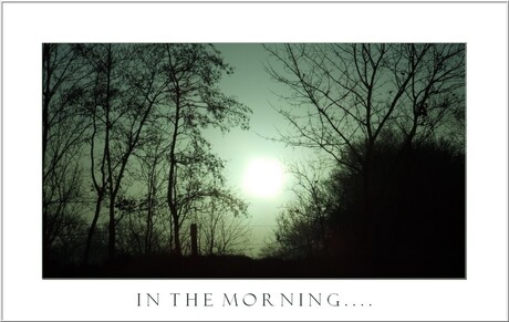 In the morning....