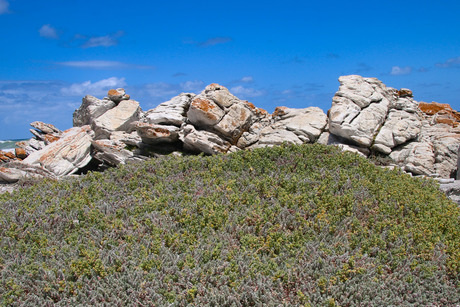 Duinen