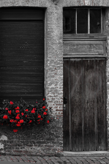 Façade met bloemen