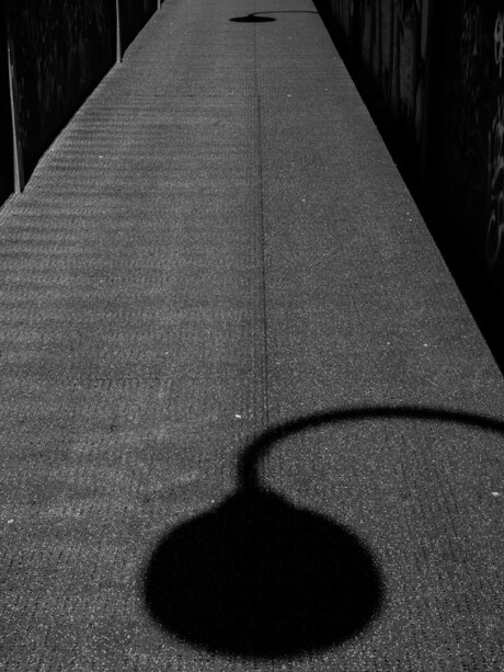 shadows on my path