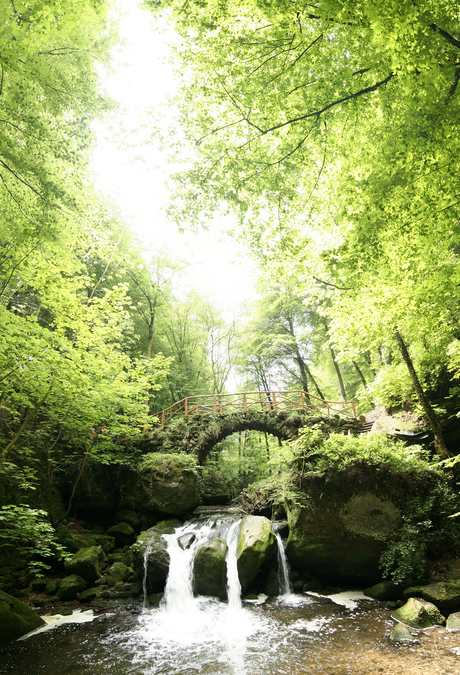 Schiessentümpel Pano