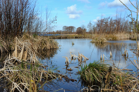 WaterLandschap Reeuwijk