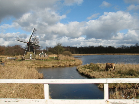 Watermolen