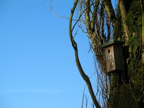 Vogelhuisje