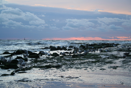 Strand van scheveningen 2