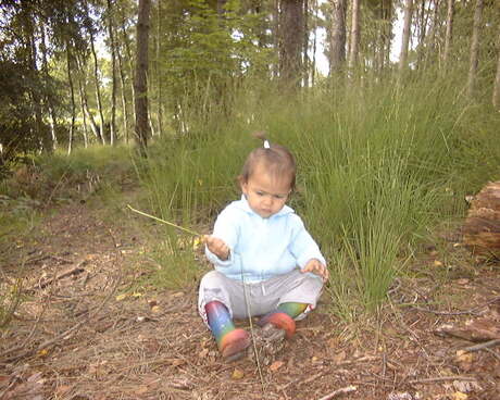 Gewoon een mooi kiekje.....