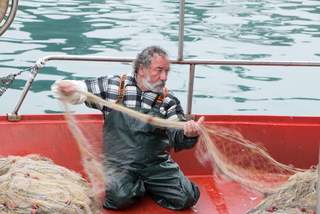 Griekse visser