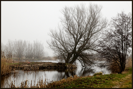 Hitland in de nevel