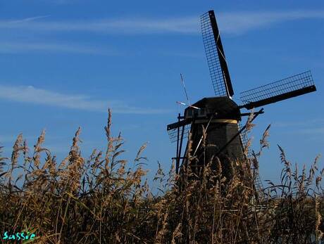 Kinderdijk2