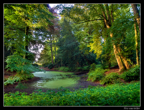 Windesheimer Bos 2