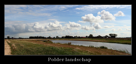 Kijkje in de polder