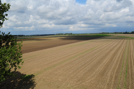 Polder uitzicht