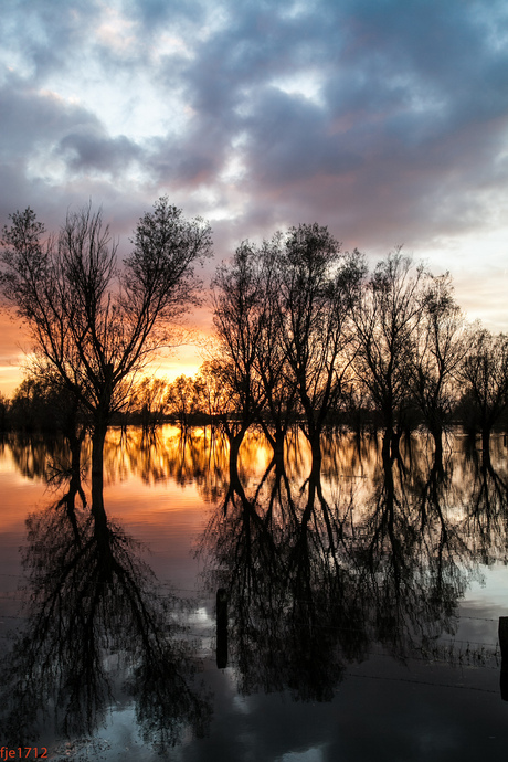 Hoog water