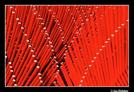 Mooi rood is niet lelijk