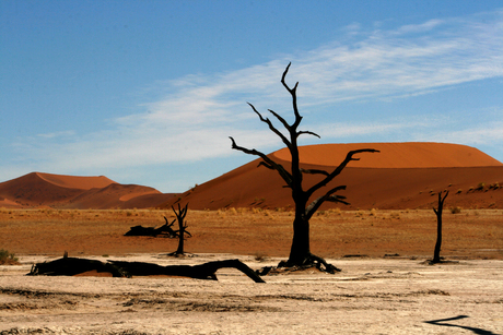 Deathvlei Namibie