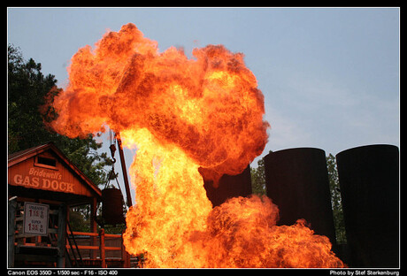 Steekvlam in JAWS-attractie