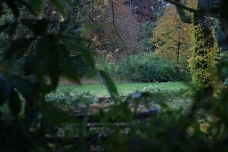 Stiekem naar de herfst kijken