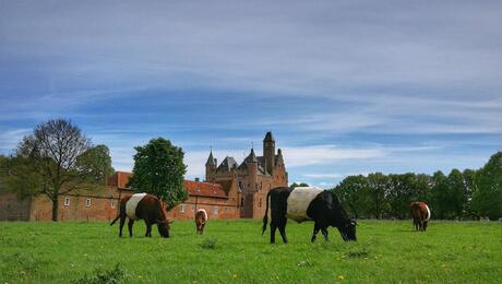 Lakenvelderrunderen bij kasteel Doornenburg