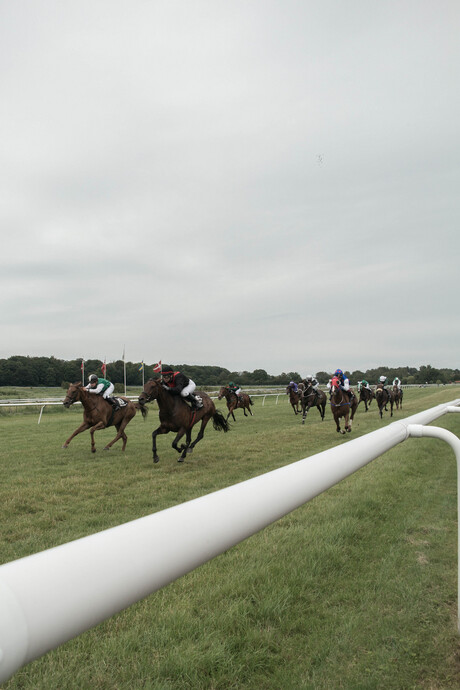 Paardenrace