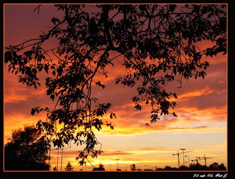 Avondrood brengt ???