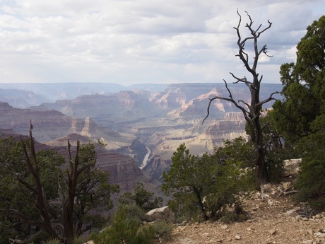 Coloradorivier, Grand Canyon