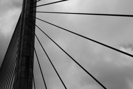 Erasmusbrug, Rottterdam