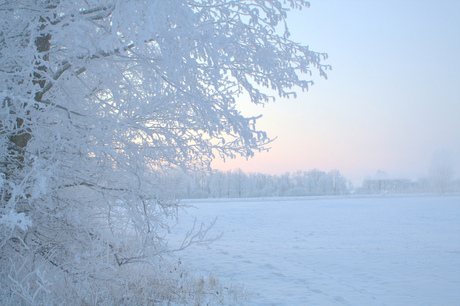 (Zaterdag 4 februari 2012) -17 graden vorst, mist, rijp en zonsopkomst.jpg