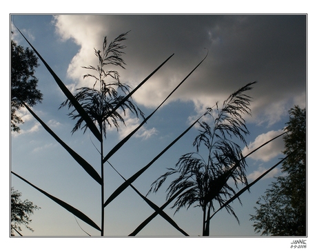 Natuurlijk natuur ........................