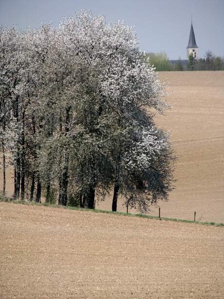 Wie sjoeën ós Limburg is